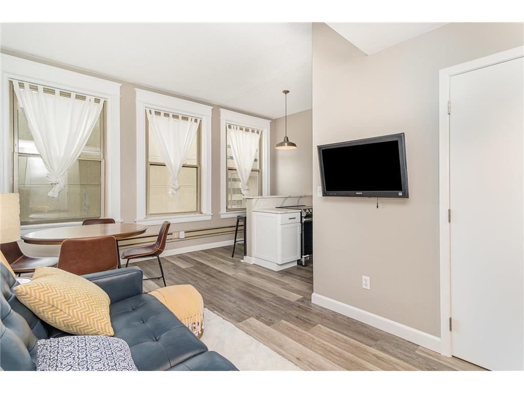 488 Wabasha Street N #303 Saint Paul MN 55102 7003648 image4