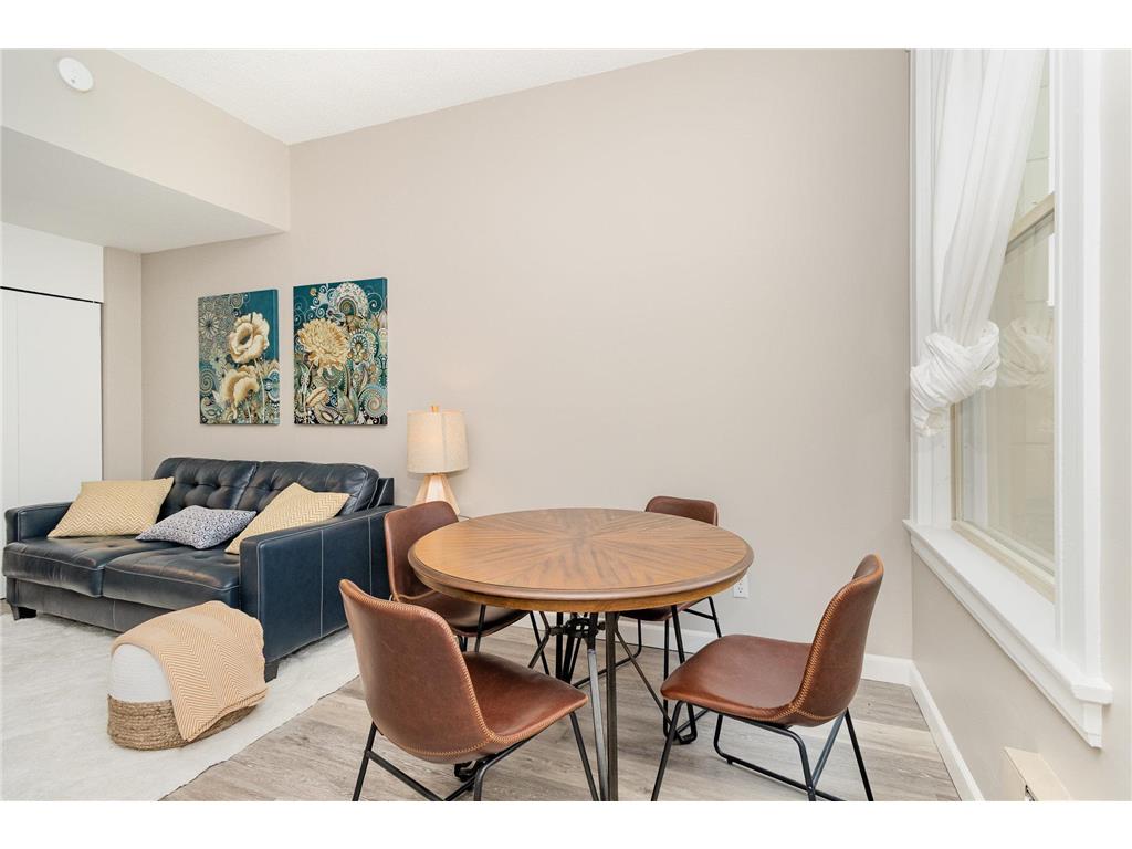 488 Wabasha Street N #303 Saint Paul MN 55102 7003648 image5