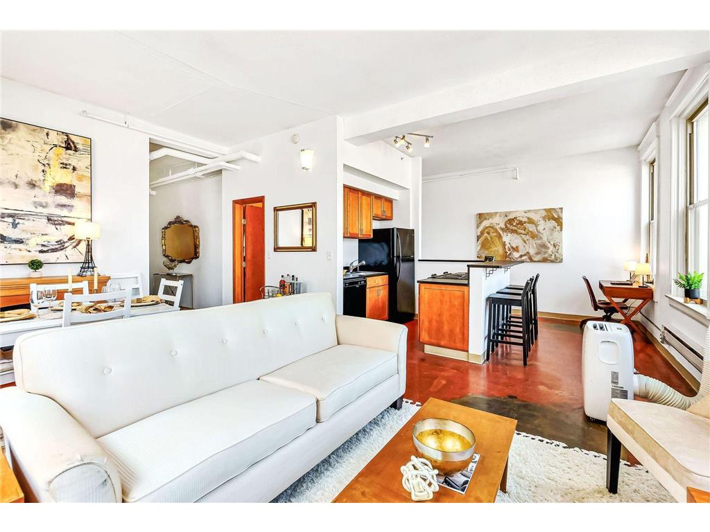 488 Wabasha Street N #501 Saint Paul MN 55102 6391106 image1