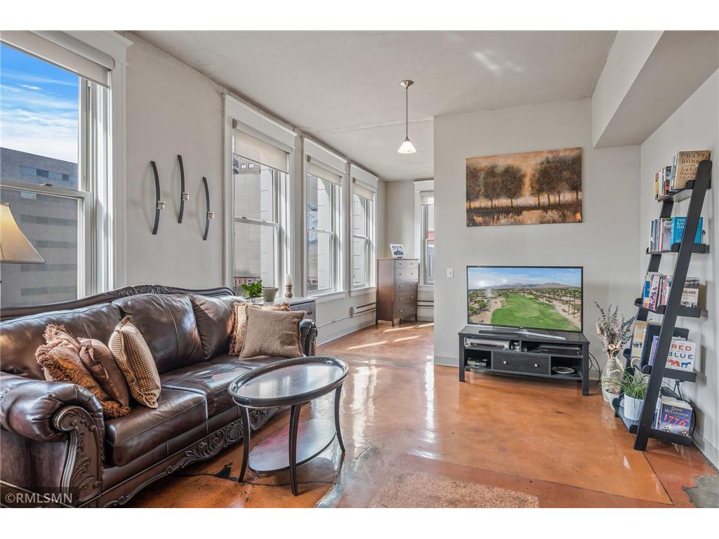 488 Wabasha Street N #502 Saint Paul MN 55102 6497419 image1