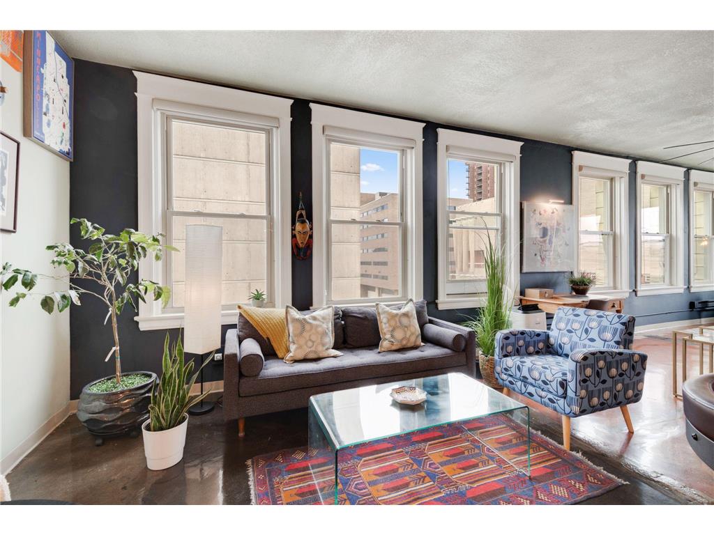 488 Wabasha Street N #502 Saint Paul MN 55102 6787714 image1