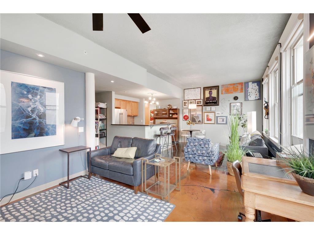 488 Wabasha Street N #502 Saint Paul MN 55102 6787714 image14