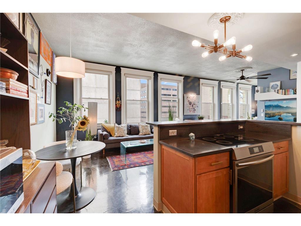 488 Wabasha Street N #502 Saint Paul MN 55102 6787714 image2