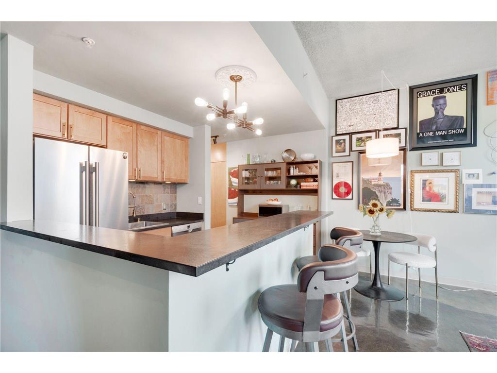 488 Wabasha Street N #502 Saint Paul MN 55102 6787714 image24