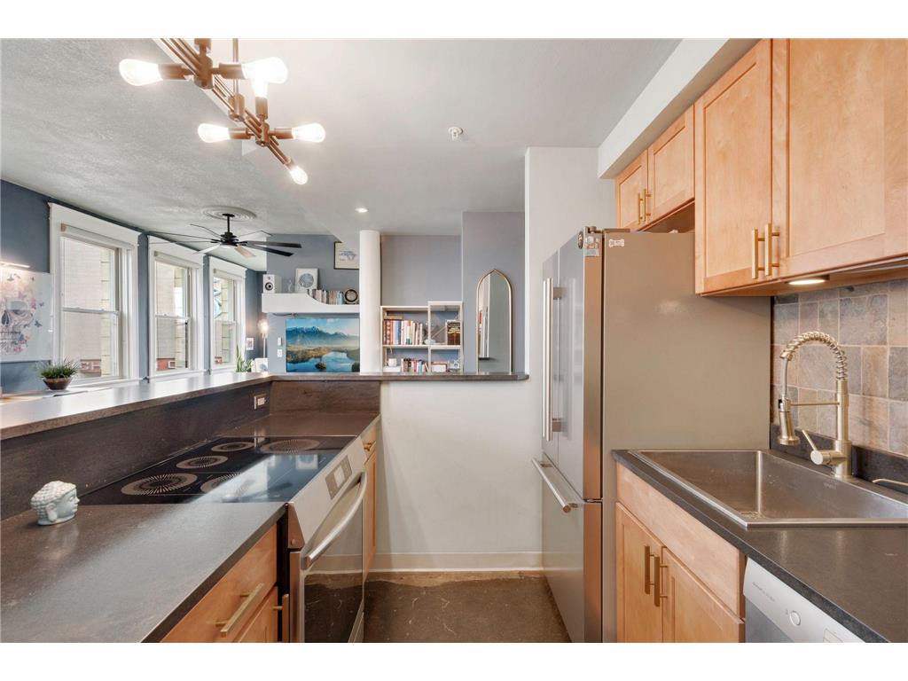 488 Wabasha Street N #502 Saint Paul MN 55102 6787714 image25