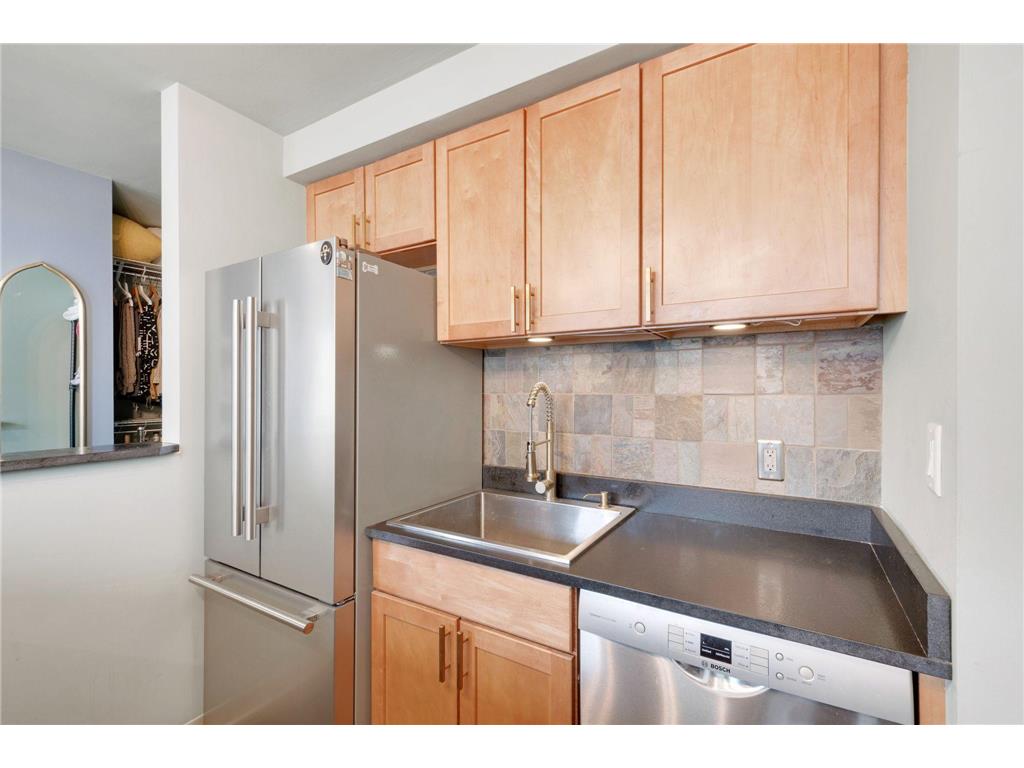 488 Wabasha Street N #502 Saint Paul MN 55102 6787714 image26