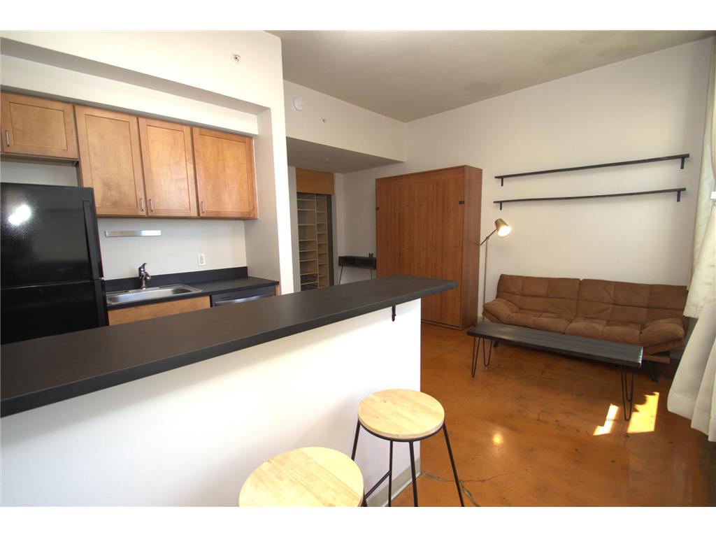 488 Wabasha Street N #503 Saint Paul MN 55102 7070489 image15