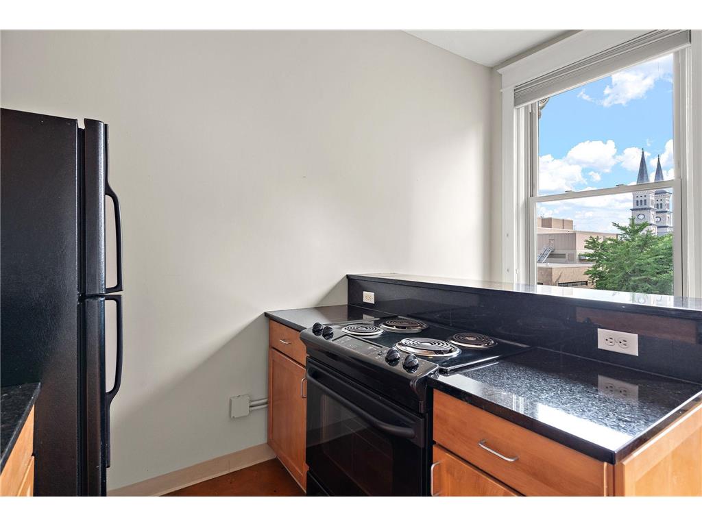 488 Wabasha Street N #504 Saint Paul MN 55102 7061982 image13