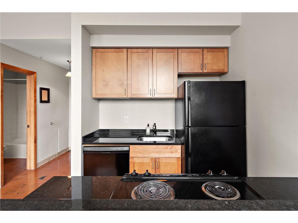 488 Wabasha Street N #504 Saint Paul MN 55102 7061982 image14