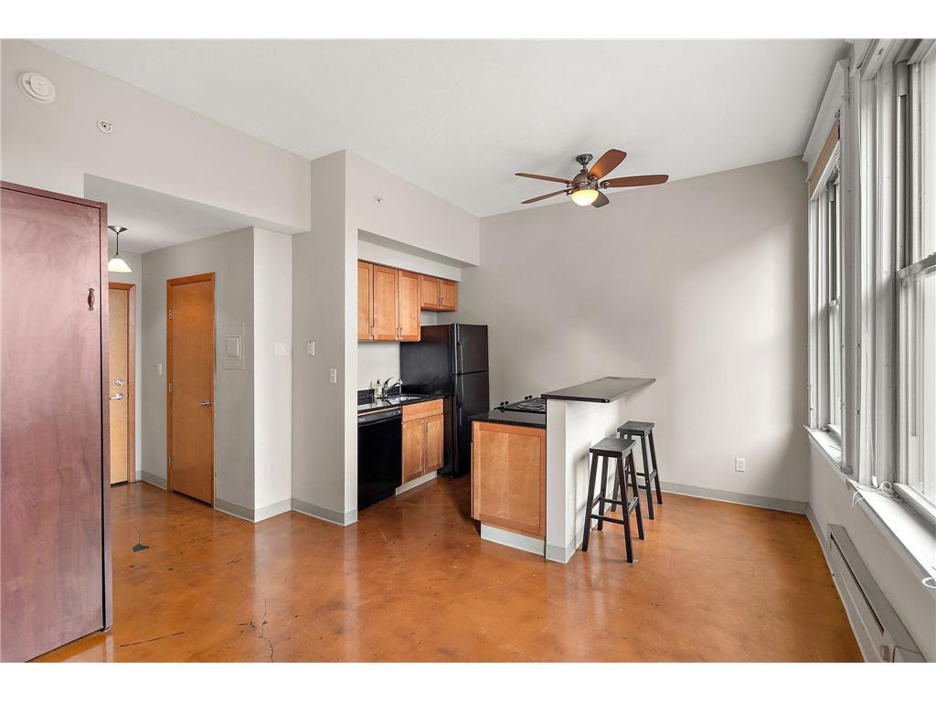 488 Wabasha Street N #504 Saint Paul MN 55102 7061982 image8