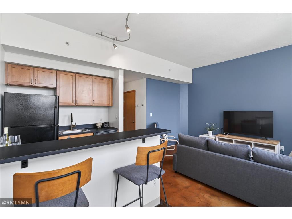 488 Wabasha Street N #506 Saint Paul MN 55102 7085608 image10