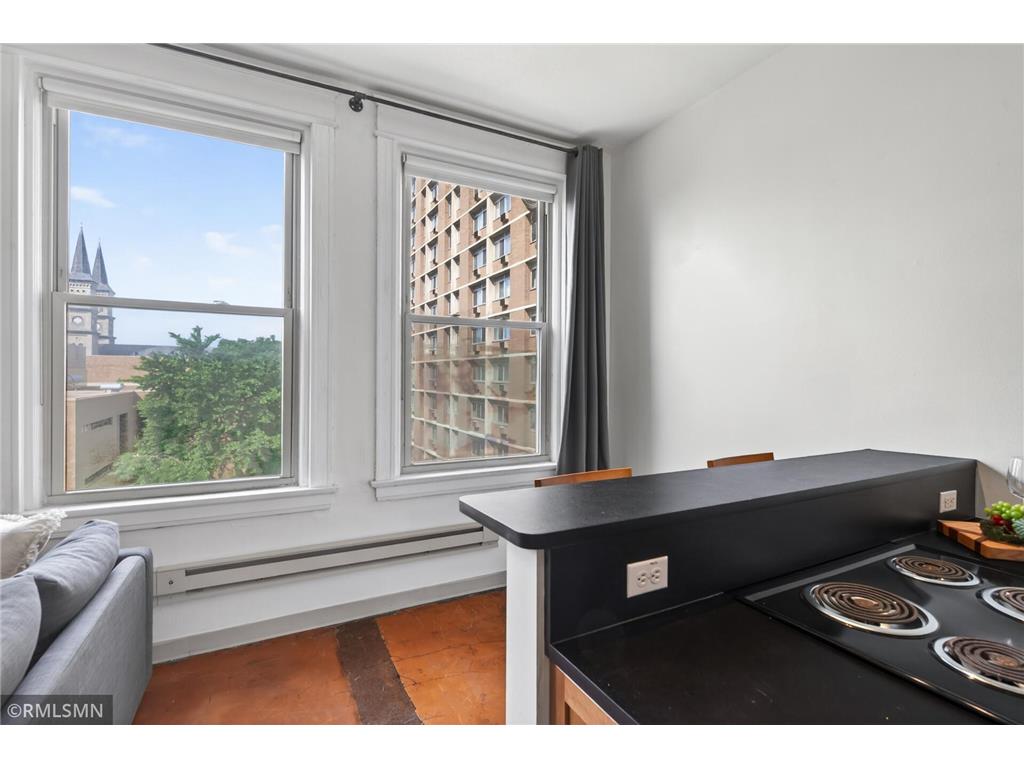 488 Wabasha Street N #506 Saint Paul MN 55102 7085608 image11