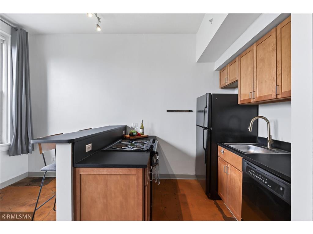 488 Wabasha Street N #506 Saint Paul MN 55102 7085608 image13