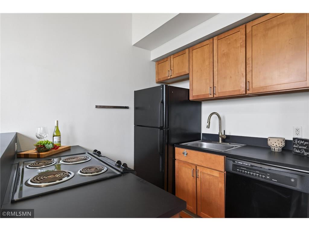 488 Wabasha Street N #506 Saint Paul MN 55102 7085608 image14