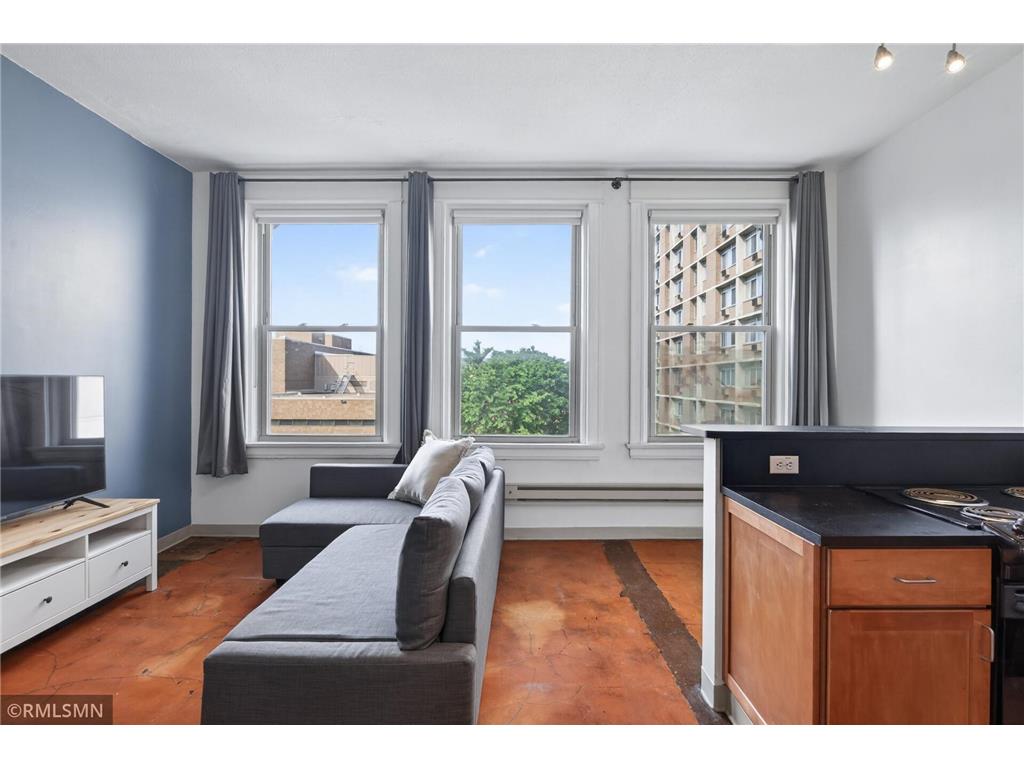 488 Wabasha Street N #506 Saint Paul MN 55102 7085608 image3
