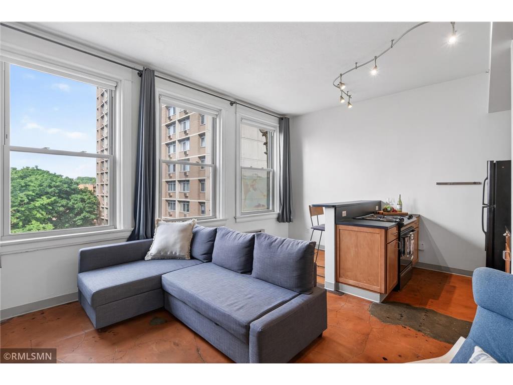 488 Wabasha Street N #506 Saint Paul MN 55102 7085608 image8