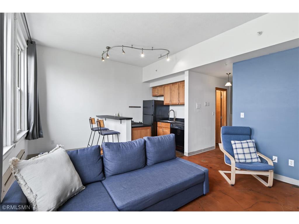 488 Wabasha Street N #506 Saint Paul MN 55102 7085608 image9