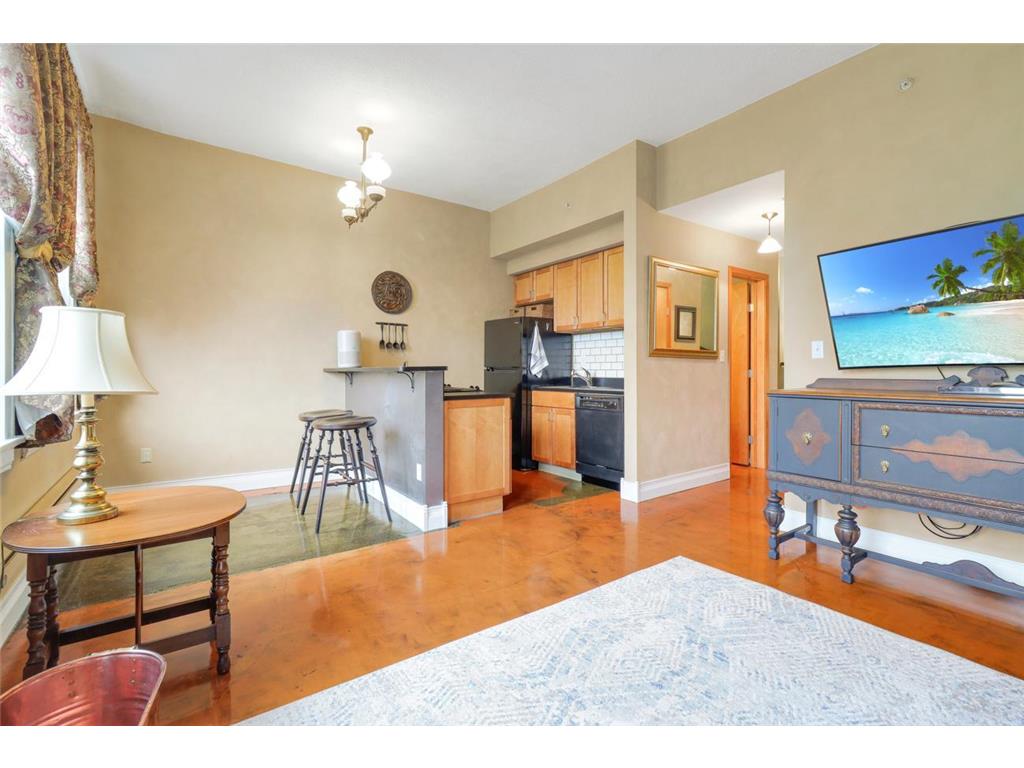 488 Wabasha Street N #606 Saint Paul MN 55102 7085645 image1