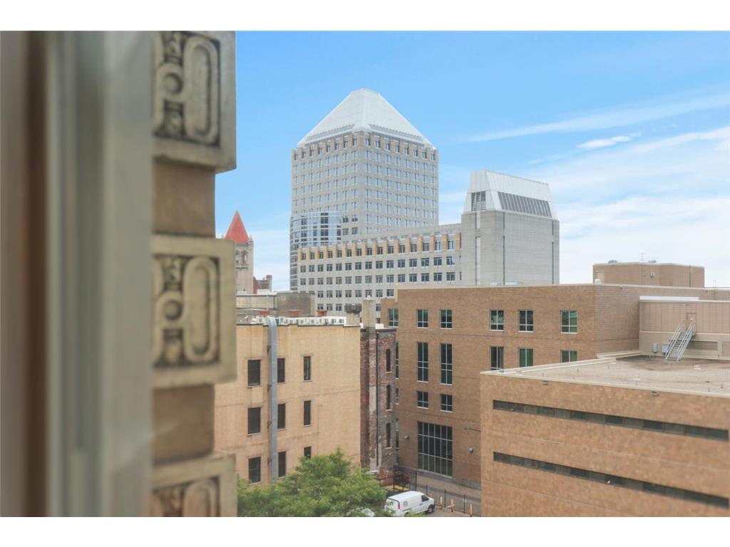 488 Wabasha Street N #606 Saint Paul MN 55102 7085645 image14