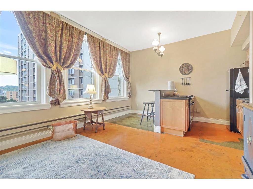 488 Wabasha Street N #606 Saint Paul MN 55102 7085645 image2