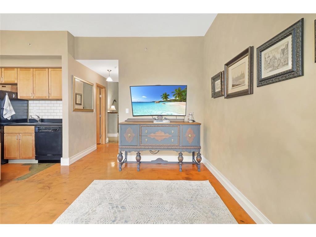 488 Wabasha Street N #606 Saint Paul MN 55102 7085645 image3
