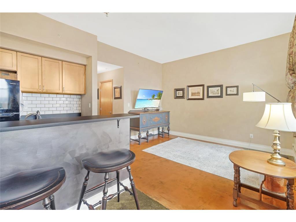 488 Wabasha Street N #606 Saint Paul MN 55102 7085645 image4