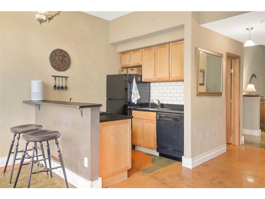 488 Wabasha Street N #606 Saint Paul MN 55102 7085645 image5