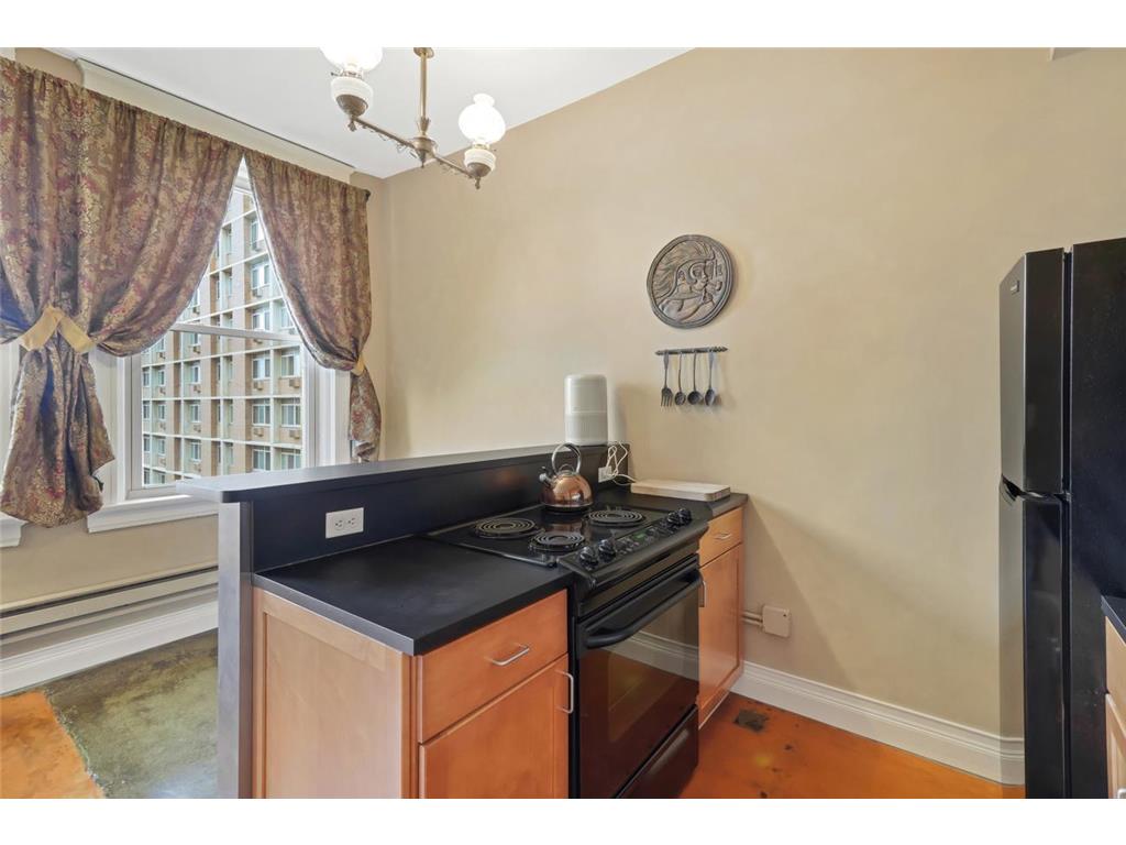 488 Wabasha Street N #606 Saint Paul MN 55102 7085645 image6