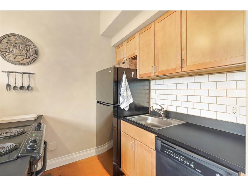 488 Wabasha Street N #606 Saint Paul MN 55102 7085645 image7