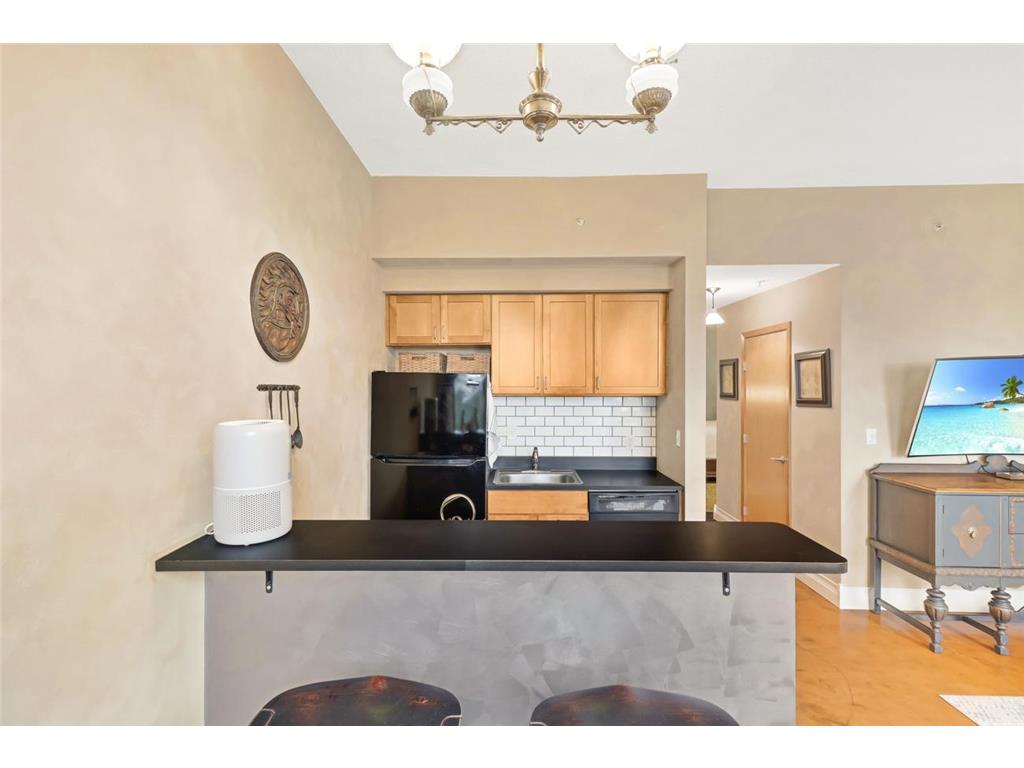488 Wabasha Street N #606 Saint Paul MN 55102 7085645 image8