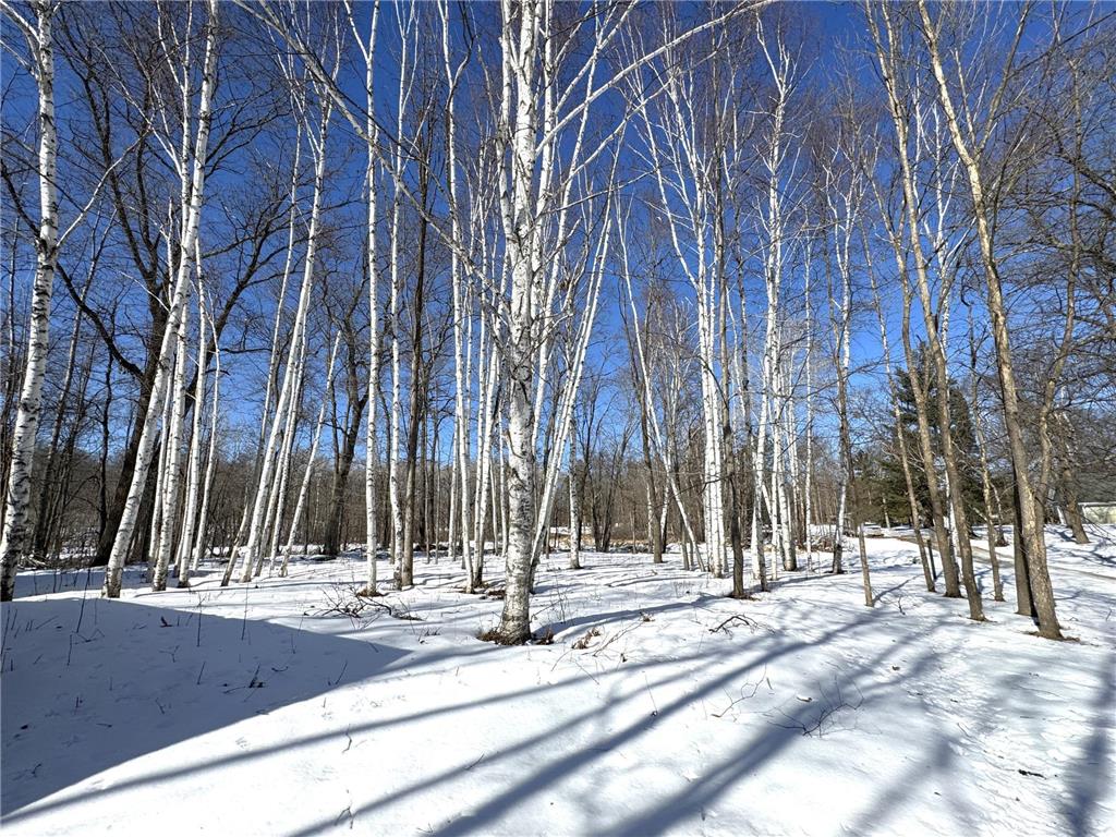 48894 386th Place Palisade MN 56469 - Round Lake 7028555 image11