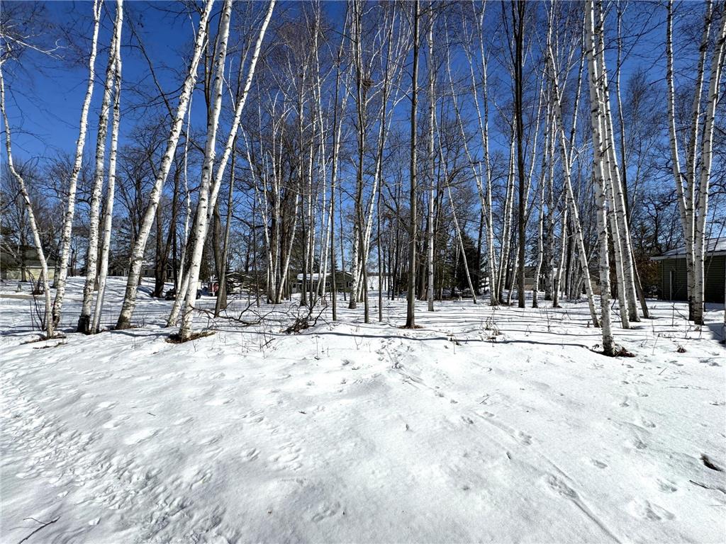 48894 386th Place Palisade MN 56469 - Round Lake 7028555 image14