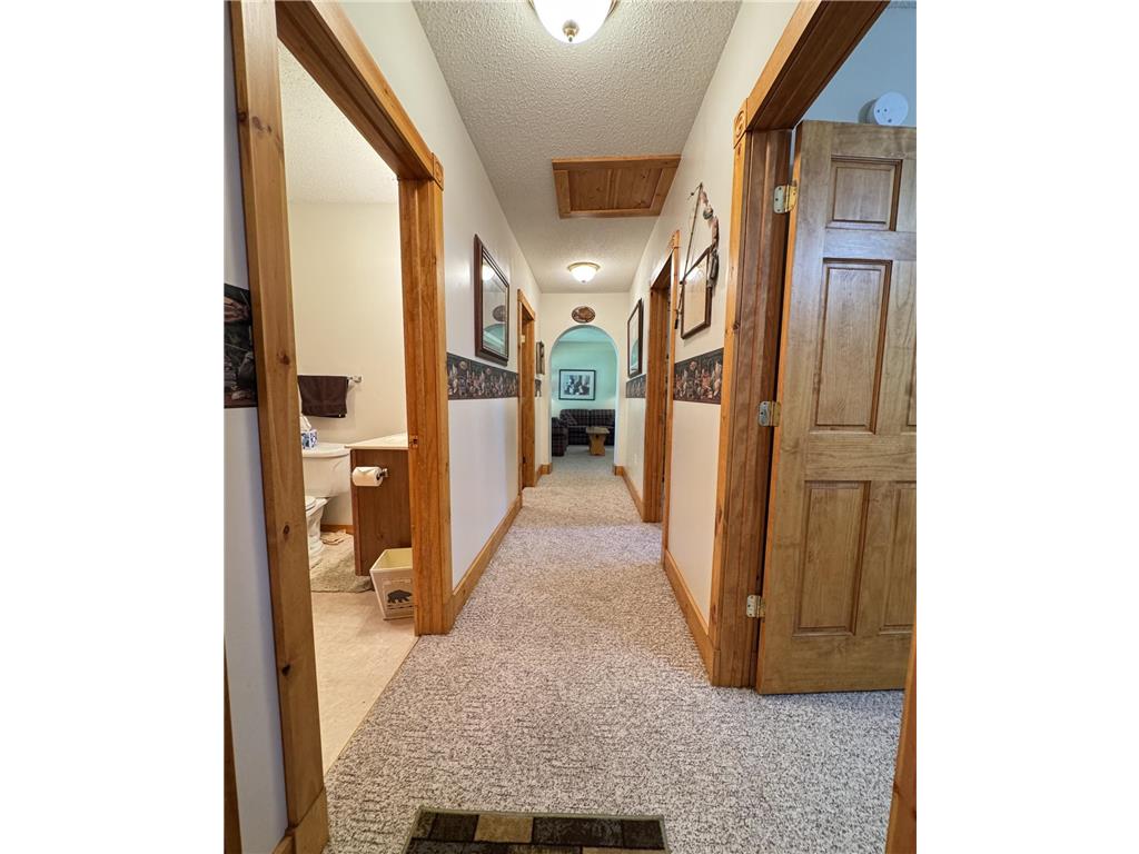 48894 386th Place Palisade MN 56469 - Round Lake 7028555 image78