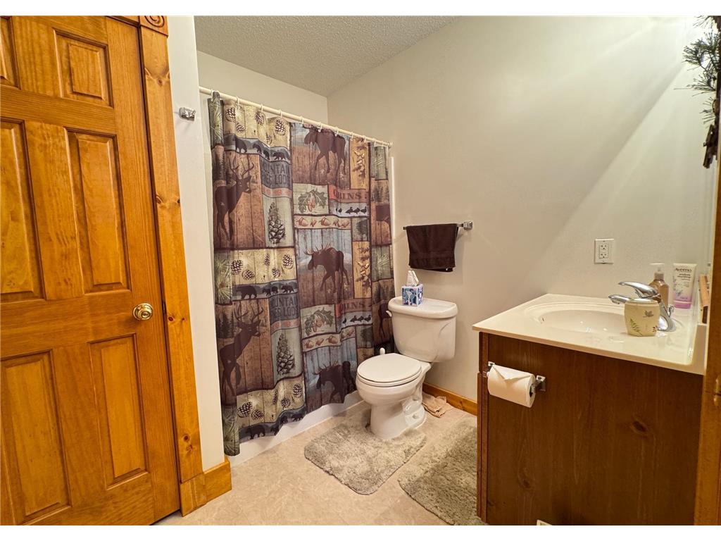 48894 386th Place Palisade MN 56469 - Round Lake 7028555 image79