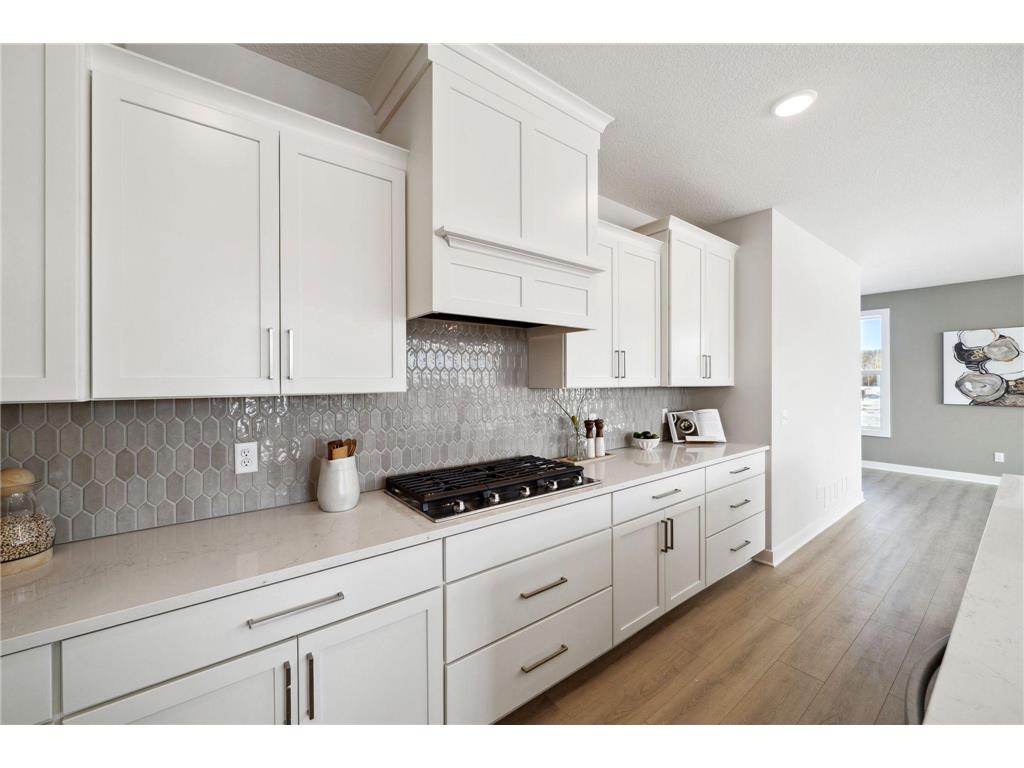 4891 127th Lane NE Blaine MN 55449 6792189 image22