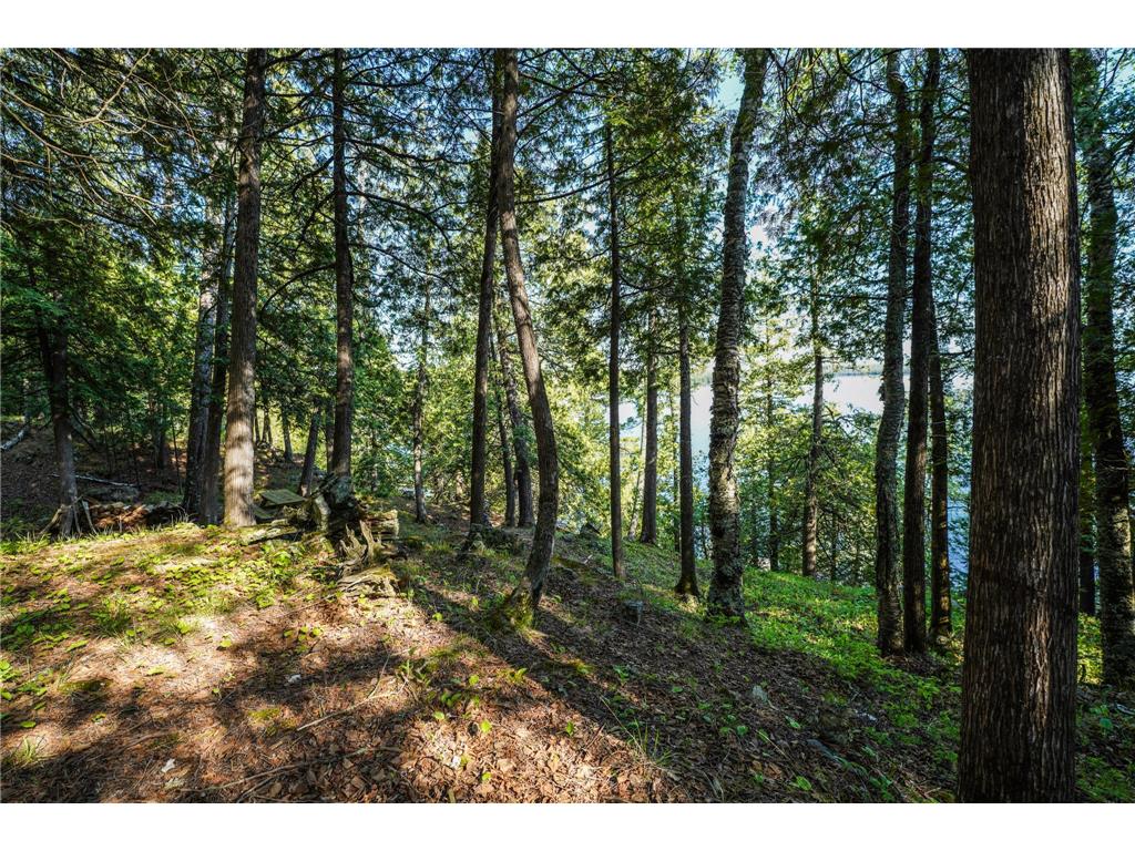 4891 Lake Vermilion N Breitung Twp MN 55790 - Vermilion 7085944 image10