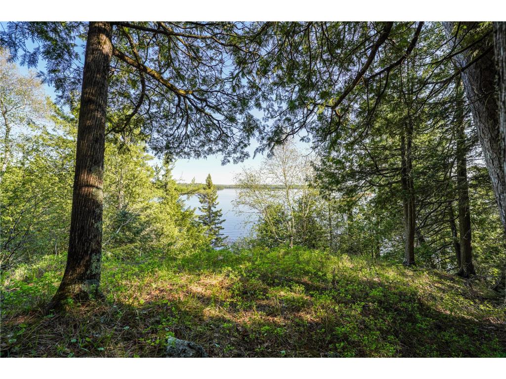 4891 Lake Vermilion N Breitung Twp MN 55790 - Vermilion 7085944 image11