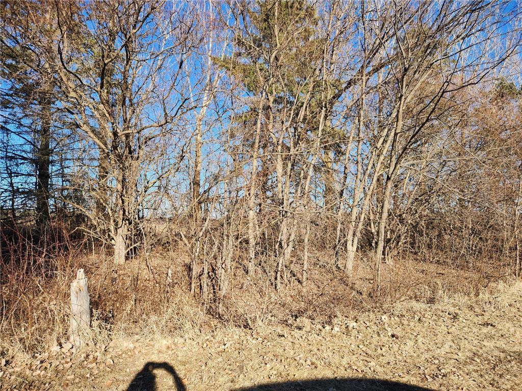 48915 Wild Rose Trail Hobart Twp MN 56544 - Rose Lake 6694071 image22