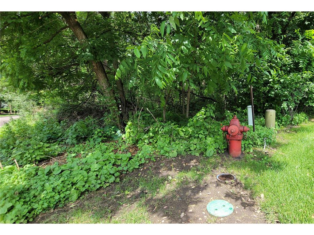 4893 Woodhurst Lane Minnetonka MN 55345 7046365 image6