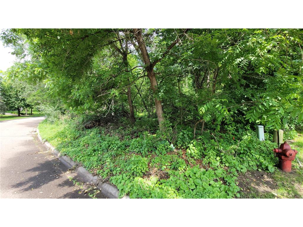4893 Woodhurst Lane Minnetonka MN 55345 7046365 image7