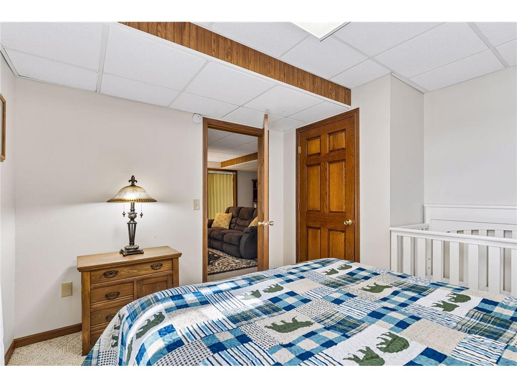 48937 N Shore Road Waterville Twp MN 56096 - Tetonka 7036986 image46