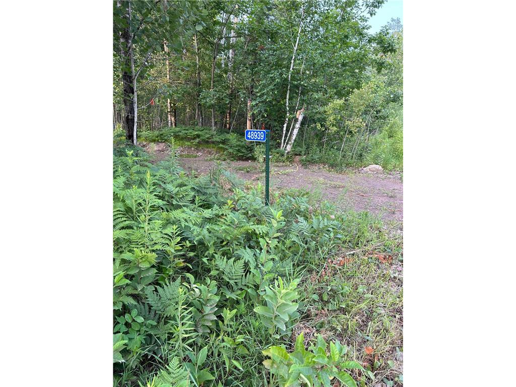 48939 Starch Bruno Twp MN 55712 6411852 image1