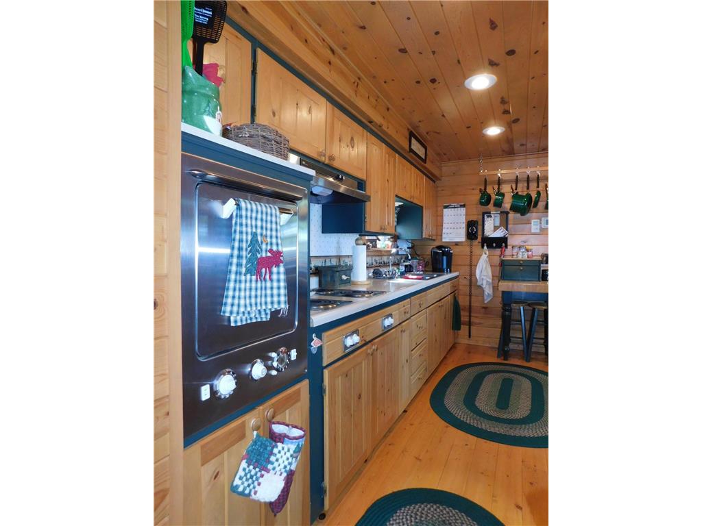 48945 373rd Place Palisade MN 56469 - Round Lake 7094850 image7