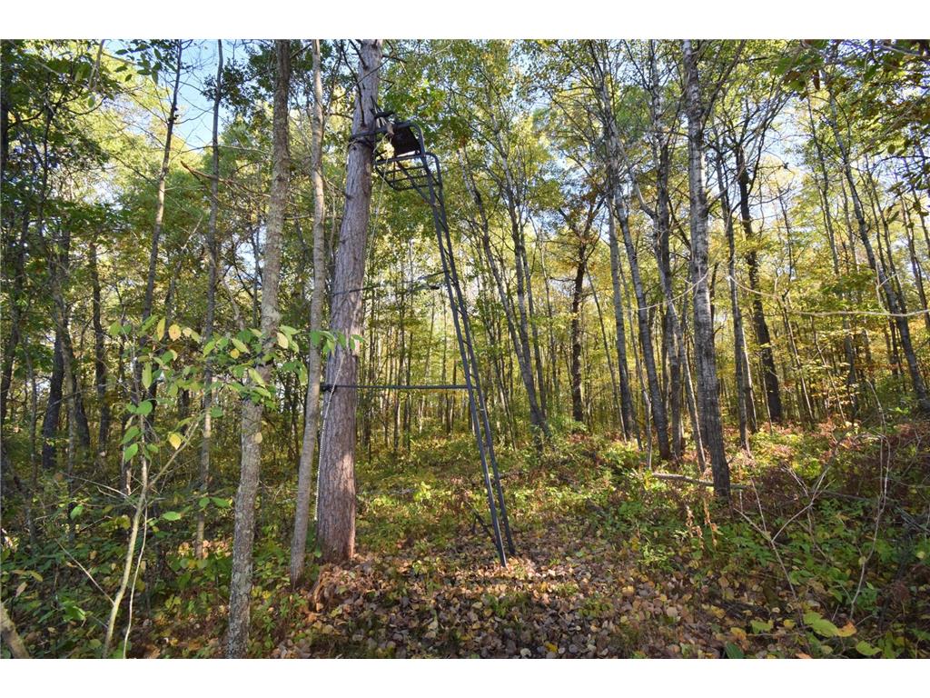 4899 County Road A Webster WI 54893 7069313 image43