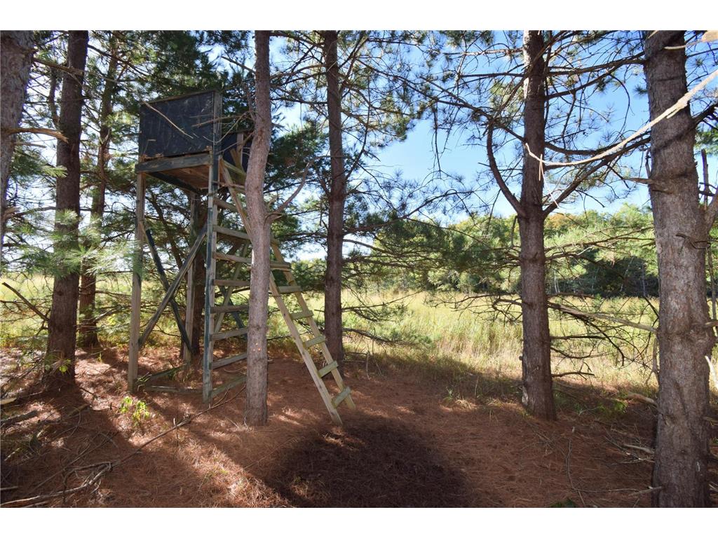 4899 County Road A Webster WI 54893 7069313 image44