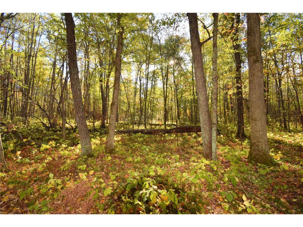 4899 County Road A Webster WI 54893 7069313 image47