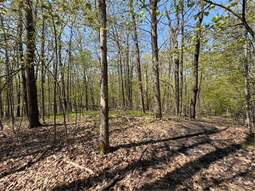 48990 County Highway 17 Candor Twp MN 56587 7078000 image15