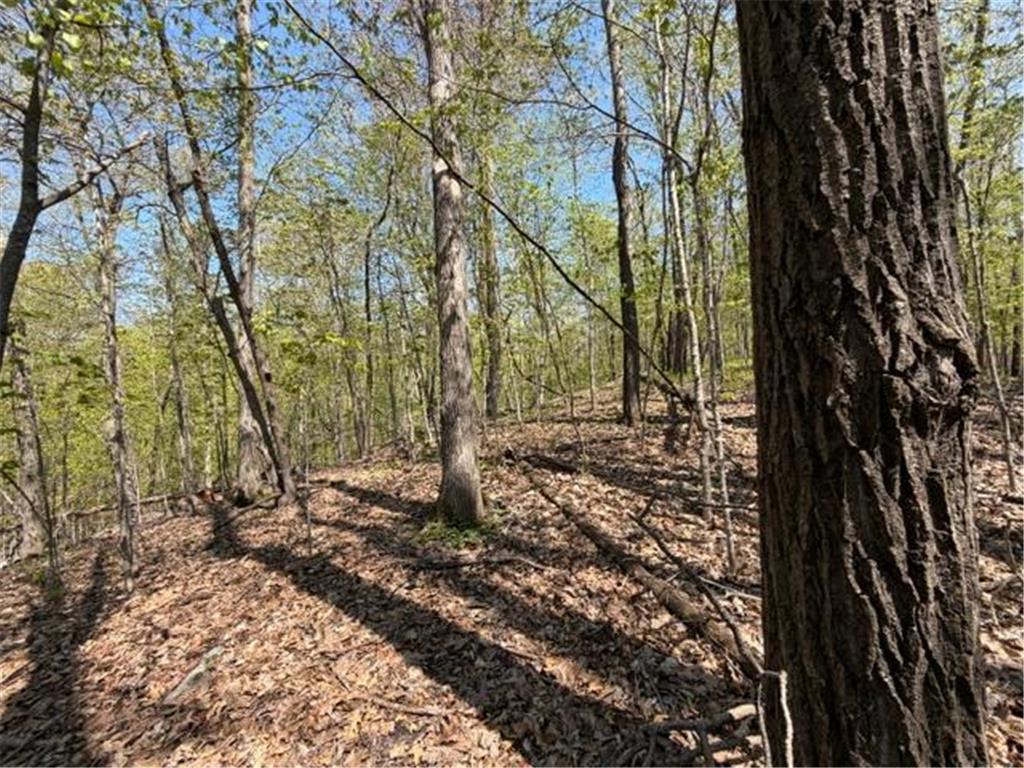 48990 County Highway 17 Candor Twp MN 56587 7078000 image16
