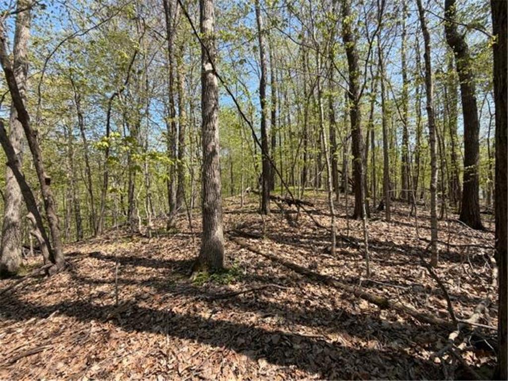 48990 County Highway 17 Candor Twp MN 56587 7078000 image17