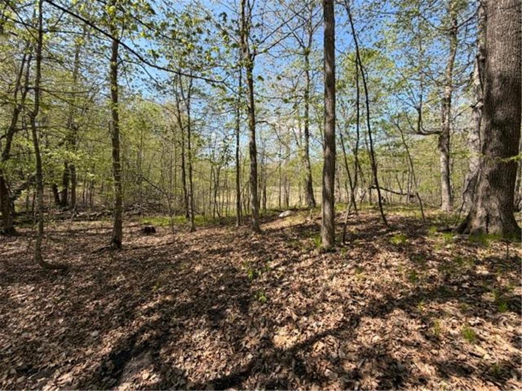 48990 County Highway 17 Candor Twp MN 56587 7078000 image18